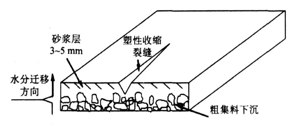1642990926877275.jpg 2.jpg
